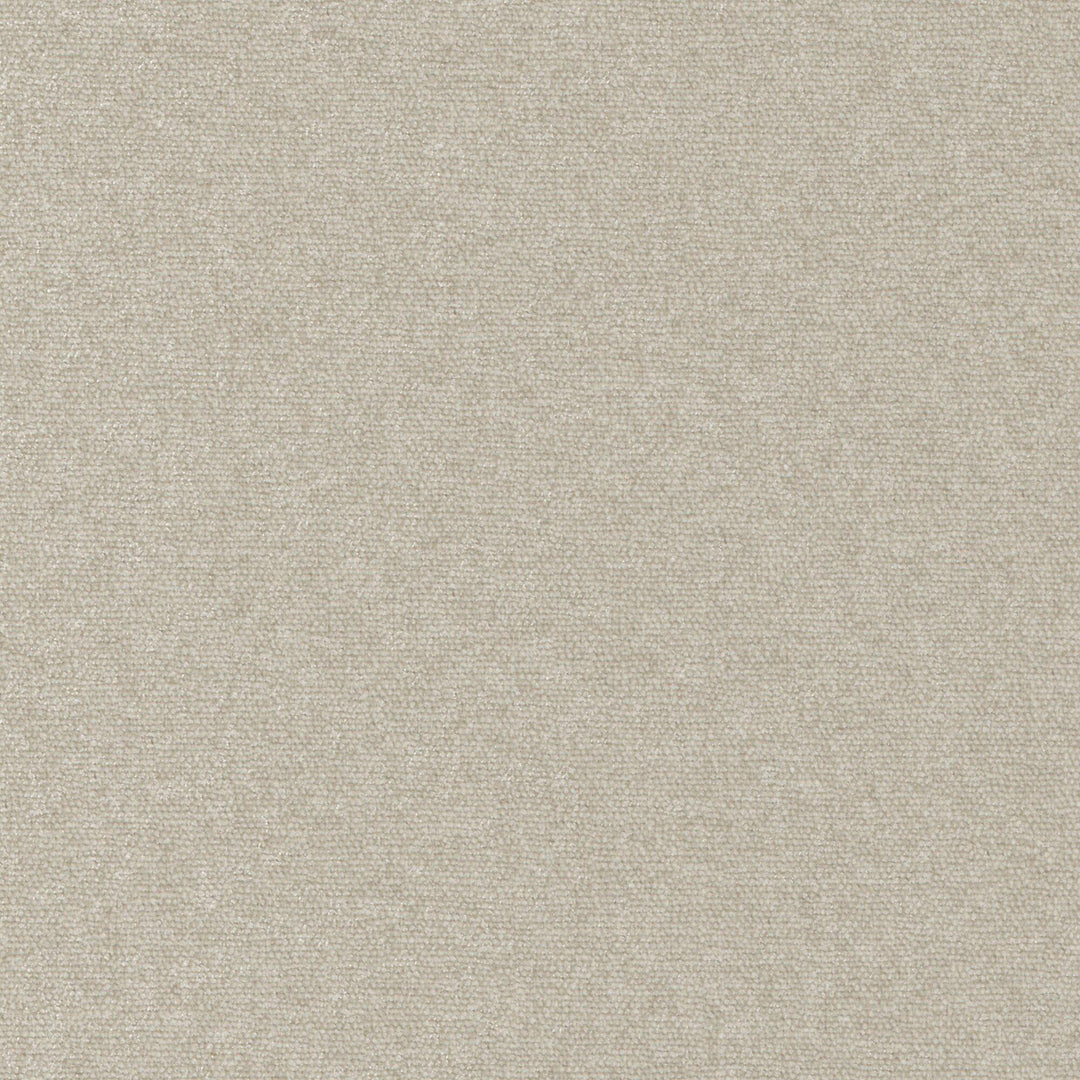 Solid Velvet Welt Sample in Beige