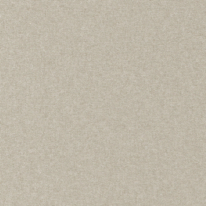 Solid Velvet Welt Sample in Beige