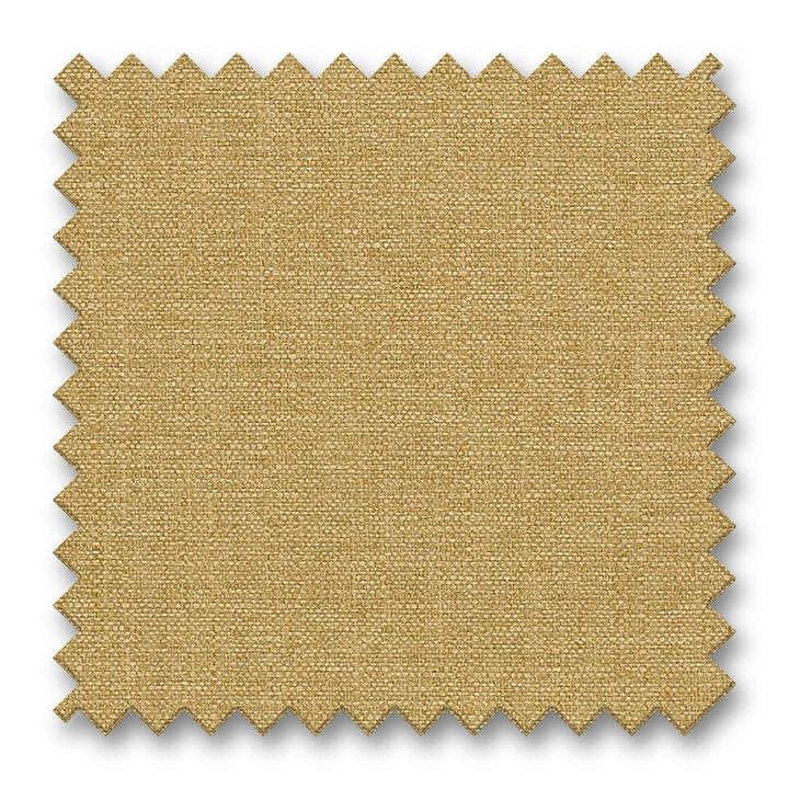 CB800 - 446 by Charlotte Fabrics Fabric Swatch