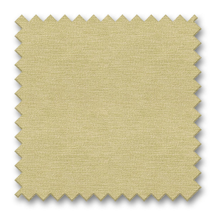 D3841 Lime by Charlotte Fabrics Fabric Swatch