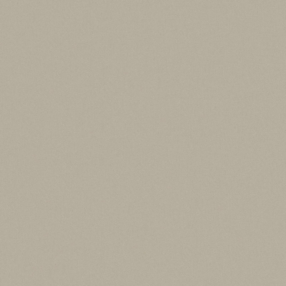 Solid Cotton Blend Welt Sample in Beige