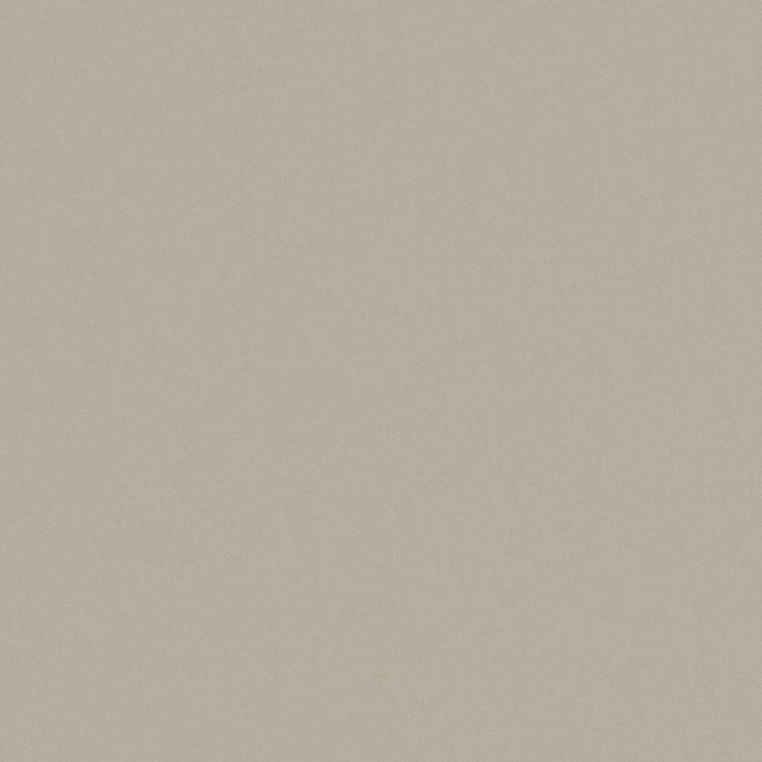 Solid Cotton Blend Welt Sample in Beige