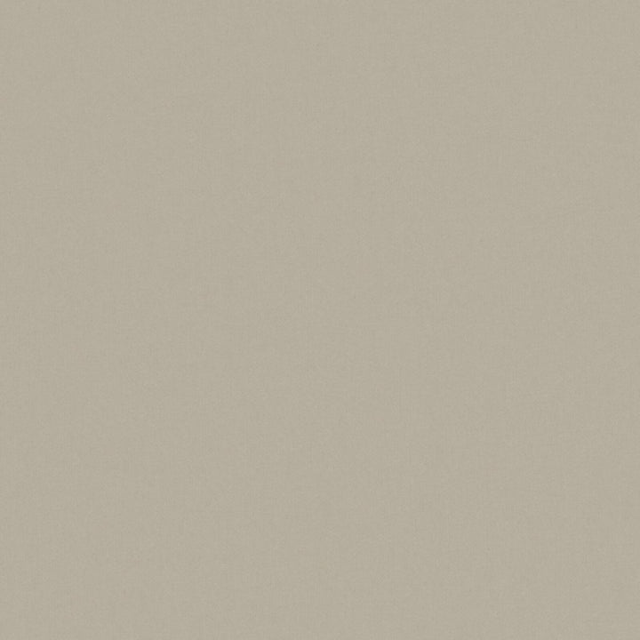 Solid Cotton Blend Welt Sample in Beige