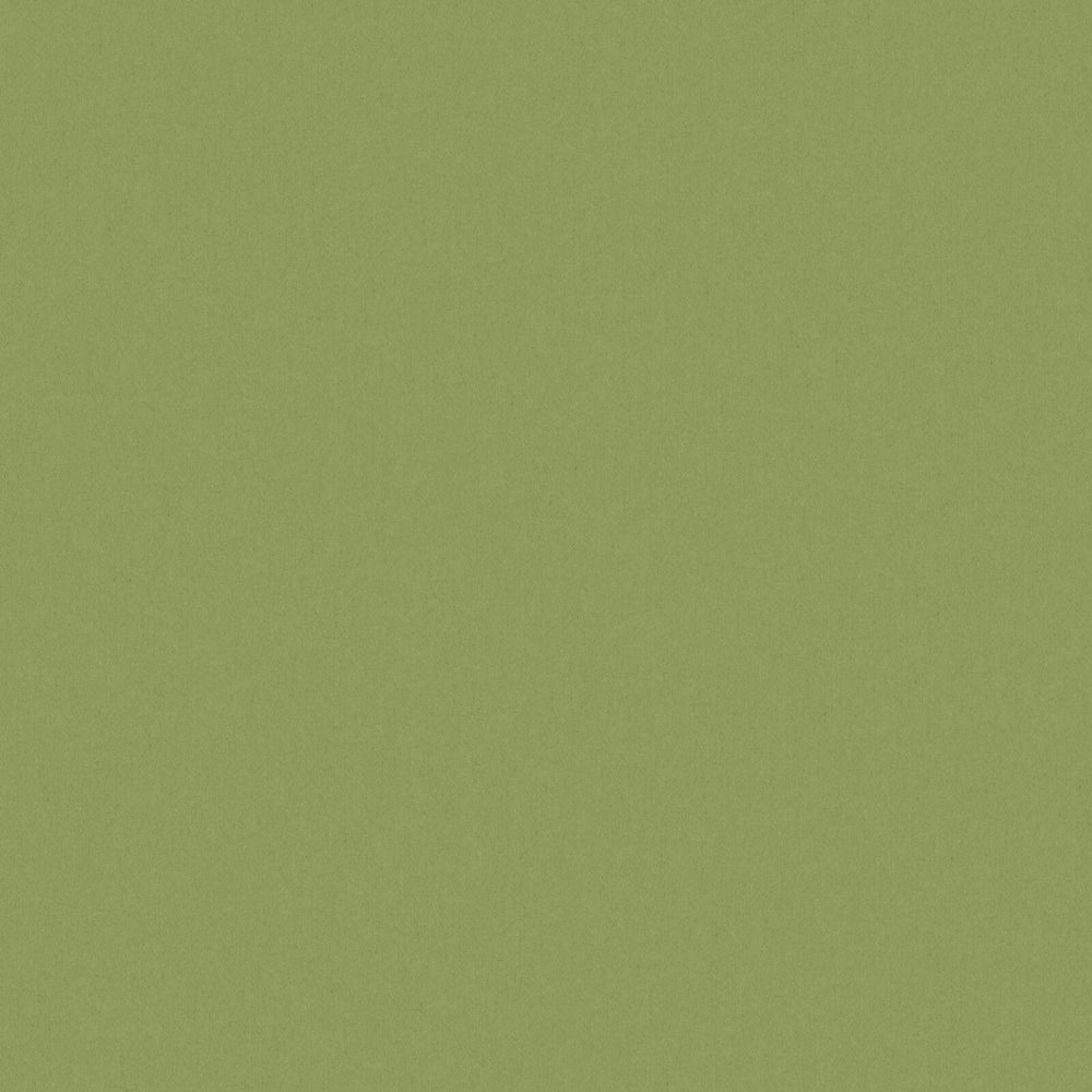 Solid Cotton Blend Welt Sample in Green