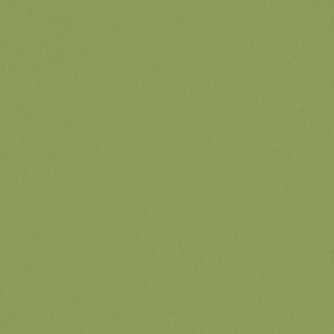 Solid Cotton Blend Welt Sample in Green