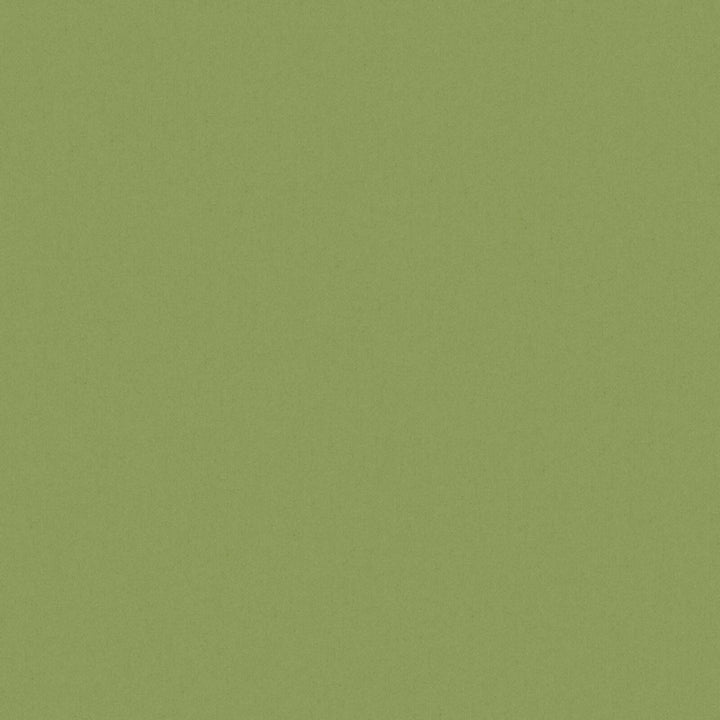 Solid Cotton Blend Welt Sample in Green