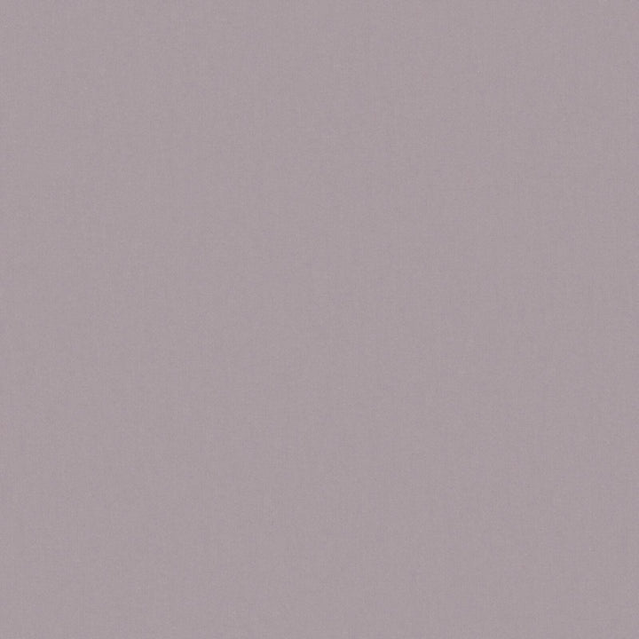 Solid Cotton Blend Welt Sample in Lavender