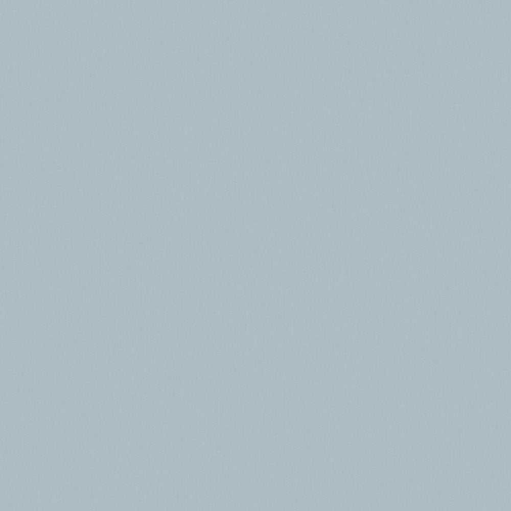 Solid Cotton Blend Welt Sample in Light Blue