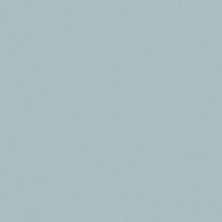 Solid Cotton Blend Welt Sample in Light Blue