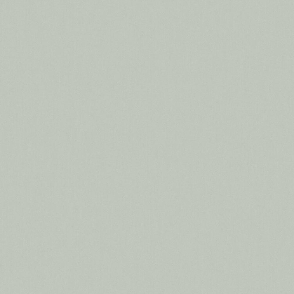 Solid Cotton Blend Welt Sample in Sage