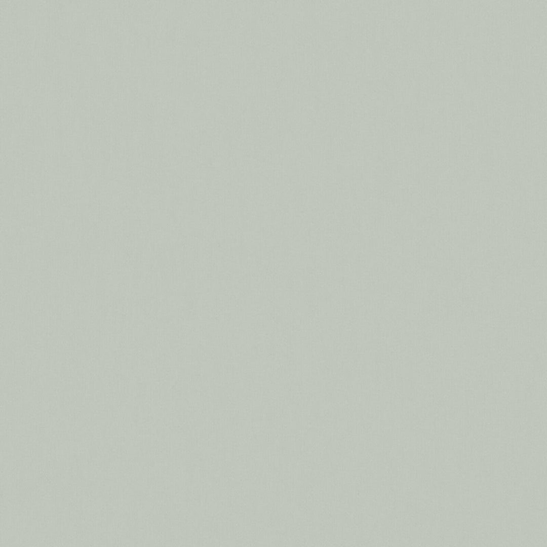 Solid Cotton Blend Welt Sample in Sage