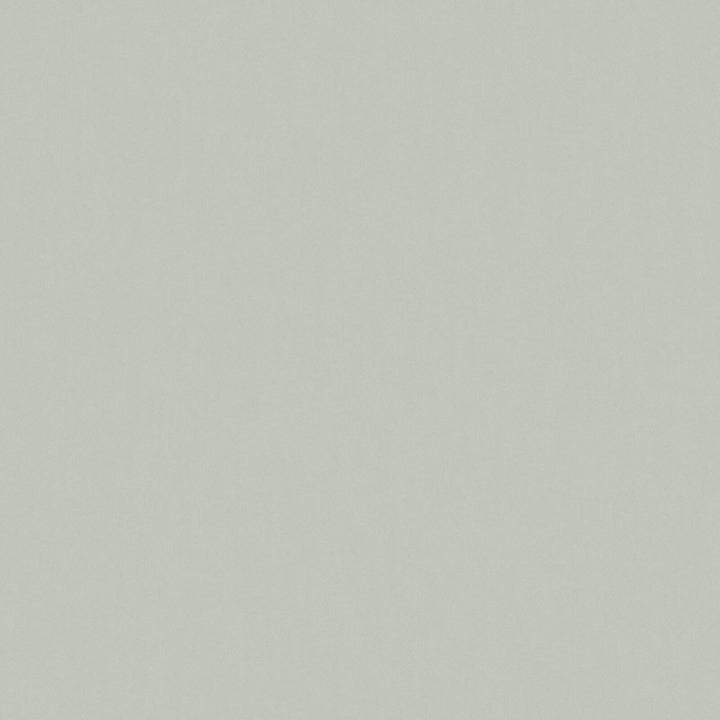 Solid Cotton Blend Welt Sample in Sage