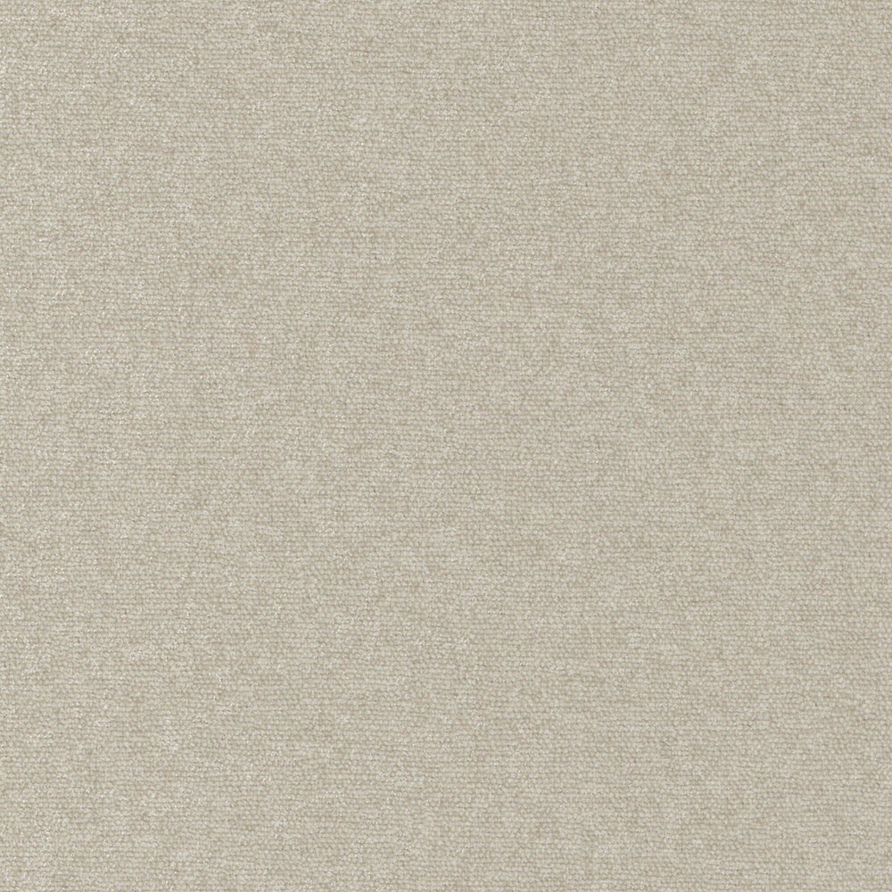 Solid Velvet Welt Sample in Beige